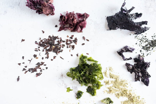 Seaweed and gut health: the relationship you didn’t know existed