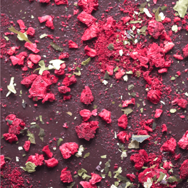 raspberry rainbow seaweed - dark chocolate - closeup (2)