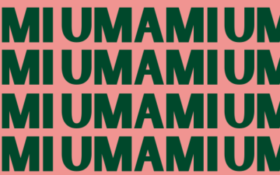 What is Umami? And why you need to add it to your meals.